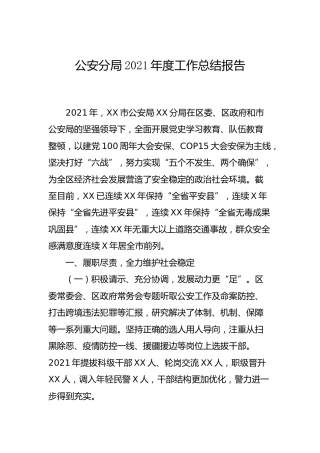 公安系统2021年度工作总结报告4000字