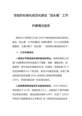 党组织标准化规范化建设“回头看”工作开展情况总结报告