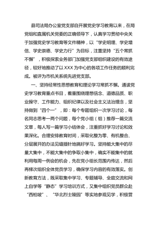 党支部建设情况总结汇报（司法）