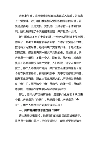 党课：共产党员什么样（共产党员的画像）