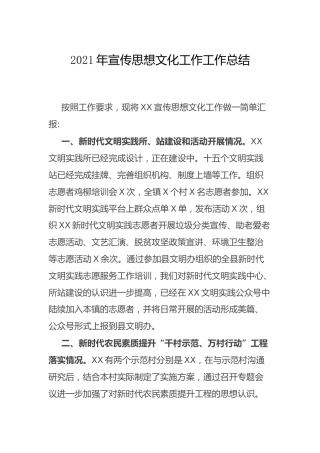 2021年宣传思想文化工作总结2000字