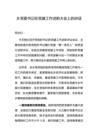 在党建工作述职大会上的讲话（乡镇）
