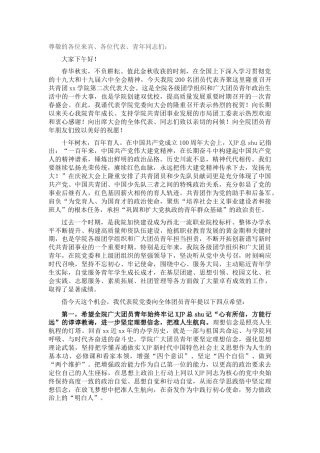 院长在共青团代表大会上的讲话（学校）