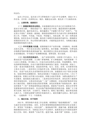 乡镇委副书记、镇长在全镇工作会议上的讲话