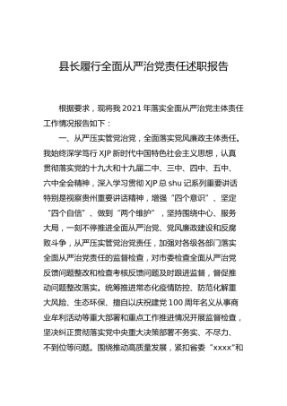 县长履行全面从严治党责任述职报告2300字