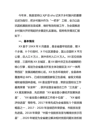 实施乡村振兴战略工作情况总结汇报（县区）