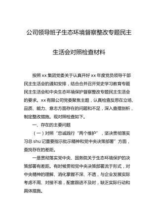 生态环境督察整改专题民主生活会班子对照检查（公司3200字）
