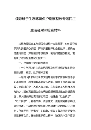 生态环境保护巡察整改专题民主生活会班子对照检查4000字