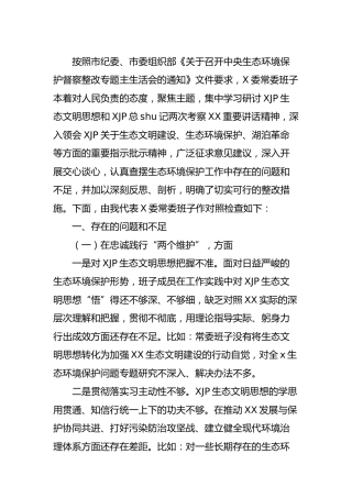 生态环境保护督察整改专题民主生活会班子对照检查4400字