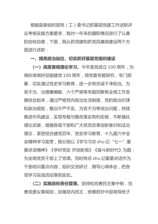 书记抓基层党建及党风廉政建设工作述职报告4800字