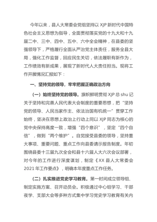 人大2021年工作总结