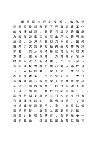 调研报告：乡村振兴背景下组建党建联盟的思考与对策
