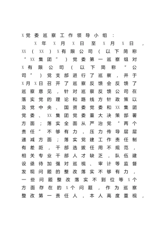 主要负责人组织落实巡察整改工作情况总结报告（公司）