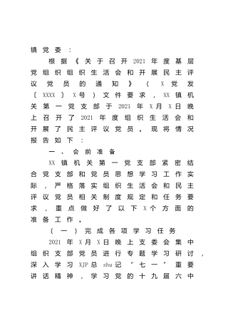 召开2021年组织生活会和开展民主评议党员情况报告