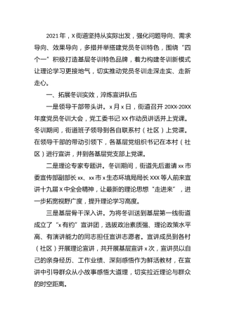 党员冬训工作经验总结材料（乡镇街道）
