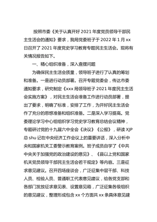 党史专题民主生活会情况报告3100字