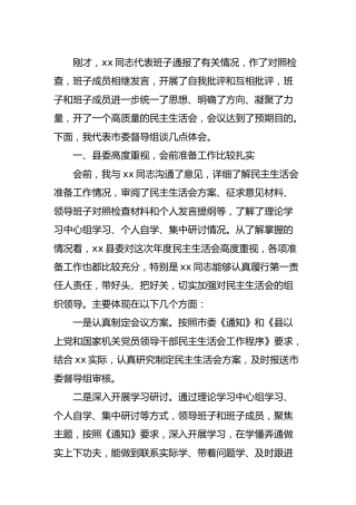 党史专题民主生活会督导组点评讲话