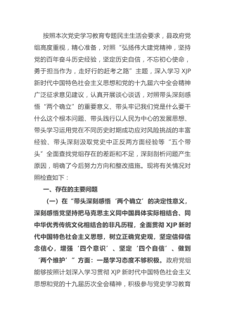 党史专题民主生活会班子对照检查2篇（县区）