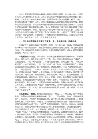 董事长在碳达峰碳中和行动领导小组第一次会议上的讲话（公司）