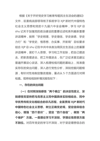 党史专题民主生活会班子对照检查（统战5700字）