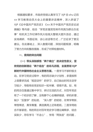 党史专题民主生活会班子对照检查（市3900字）
