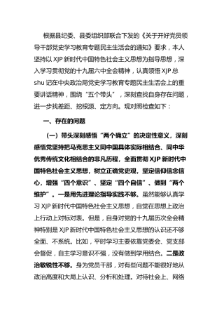 党史专题民主生活会个人对照检查（乡镇5000字）