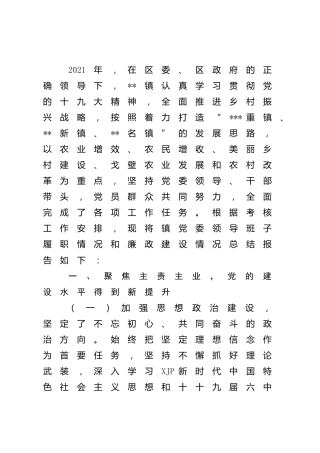 乡镇2021年度工作总结4400字