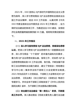 2021年度述法工作报告4100字
