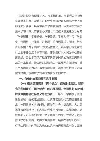 党史专题民主生活会个人对照检查（县领导2篇）