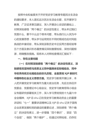党史专题民主生活会个人对照检查（公司3500字）
