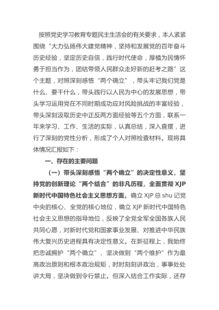 党史专题民主生活会个人对照检查（财政4800字）