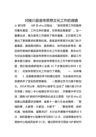 对陵川县宣传思想文化工作的调查