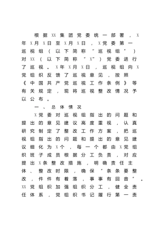 国企公司巡视反馈问题整改情况总结报告17000字（巡察）