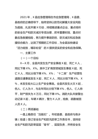 2021年安全生产和应急管理工作总结