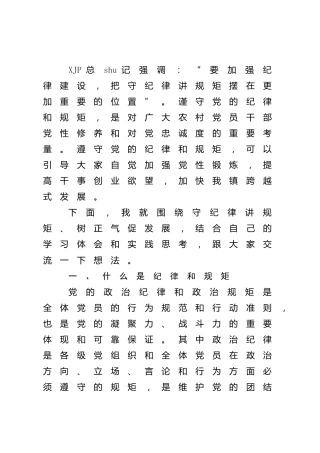 党课：守纪律 讲规矩 树正气 促发展