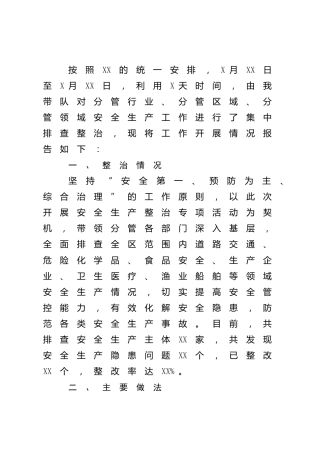安全生产整治专项行动报告（简单版）