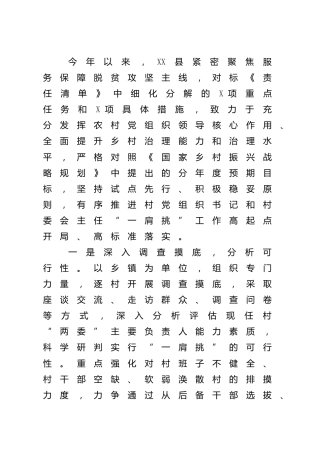 “一肩挑”工作经验总结
