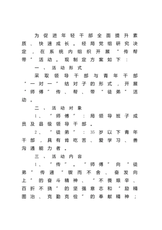 “传帮带”活动实施方案