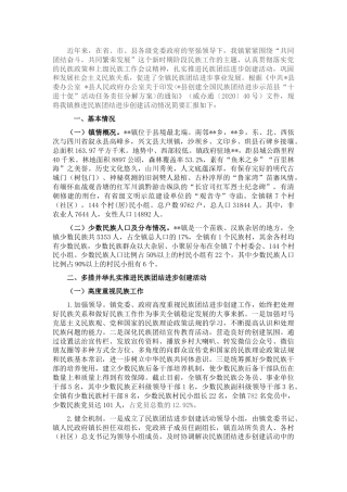 乡镇推进民族团结进步创建活动情况汇报