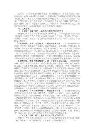 县区实施人才振兴工程情况汇报