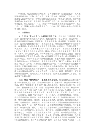 县区两新党建工作汇报