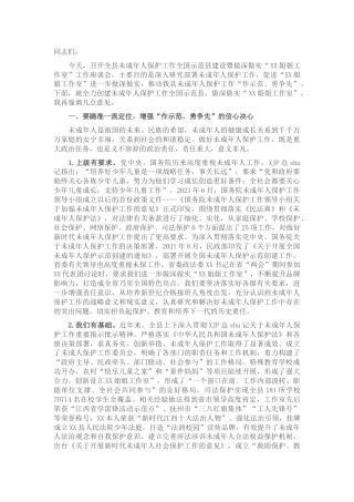 在全县未成年人保护工作示范县工作座谈会上的讲话