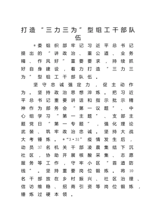 组织系统自身建设经验做法3篇