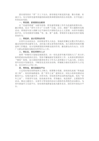 团市委党建工作亮点经验汇报