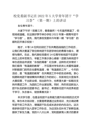 在2022年学校青年团干“学习荟”上的讲话