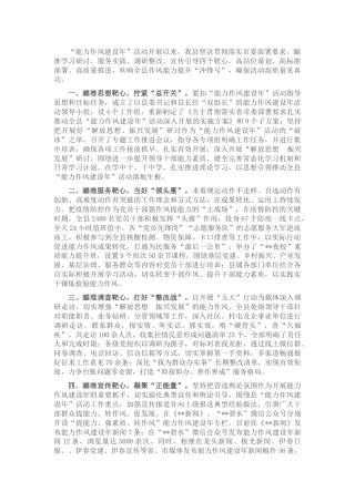 能力作风建设年活动开展情况汇报（县区）