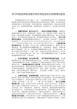 积极发挥新消费引领作用促进农村消费情况报告（农业农村）