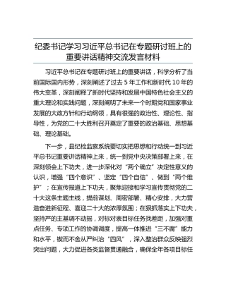 贯彻总书记在专题研讨班上的重要讲话精神研讨发言（纪委）