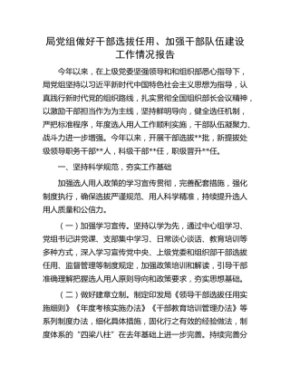 干部选拔任用、加强干部队伍建设工作情况总结报告