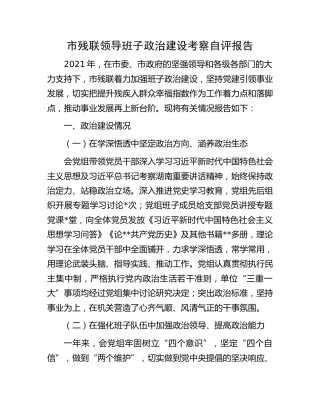 残联领导班子政治建设考察自评报告